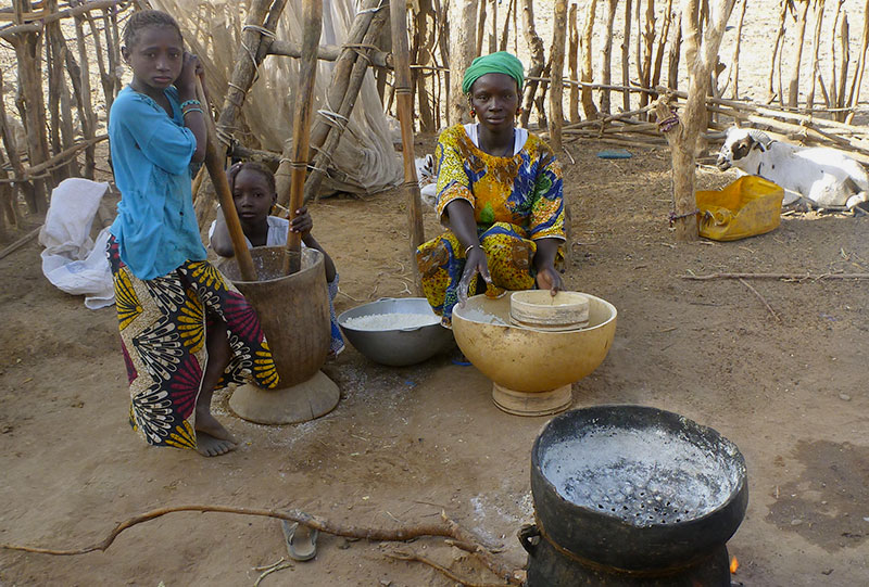 Réunion annuelle du Projet PHC Germaine de Staël. Région de Goundafa en Afrique de l'Ouest. © Vieugué. 2015